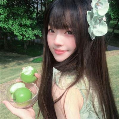 日本昆虫记